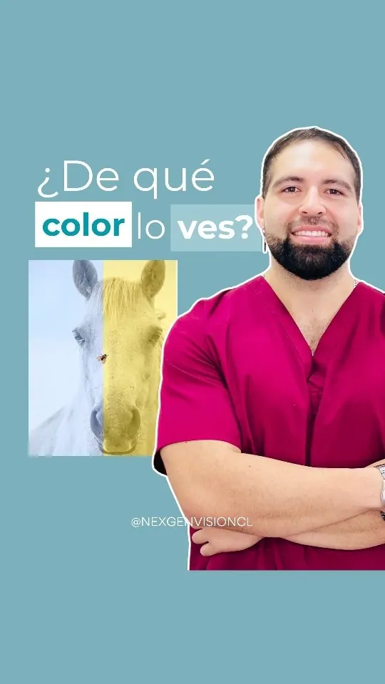 Portada del reel «¿De qué color lo ves?» de NexGen Visión